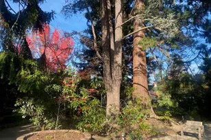 269 Selby Ln, Atherton, CA 94027 - Photo 23