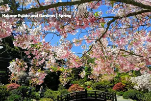 14648 Placida Ct, Saratoga, CA 95070 - Photo 57