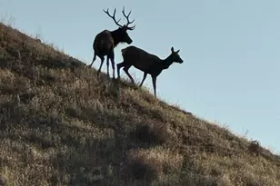 19825 New Idria Rd, Paicines, CA 95043 - Photo 1