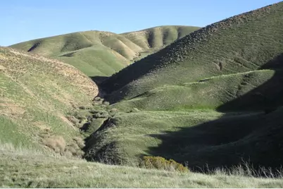 19825 New Idria Rd, Paicines, CA 95043 - Photo 35