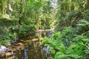 200 Shady Ln, Boulder Creek, CA 95006 - Photo 41