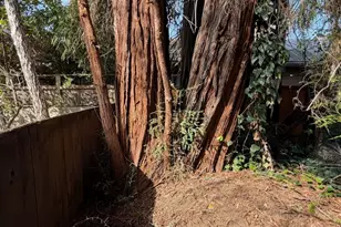 412 Guinda St, Palo Alto, CA 94301 - Photo 7