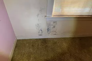 412 Guinda St, Palo Alto, CA 94301 - Photo 21