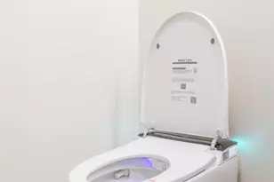 68 N Midway St, Campbell, CA 95008 - Photo 39