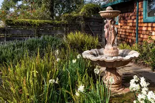 4127 Old Adobe Rd, Palo Alto, CA 94306 - Photo 9