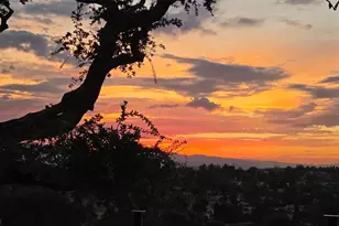 15860 Jackson Oaks Dr, Morgan Hill, CA 95037 - Photo 41