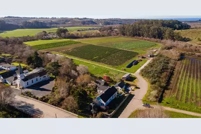 393 Stage Rd, Pescadero, CA 94060 - Photo 53
