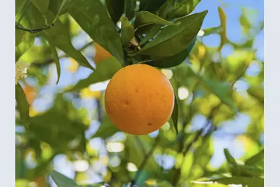 28266 Christopher Ln, Los Altos Hills, CA 94022 - Photo 33