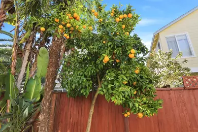 928 Wilks St, East Palo Alto, CA 94303 - Photo 57