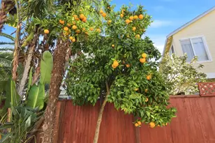 928 Wilks St, East Palo Alto, CA 94303 - Photo 57