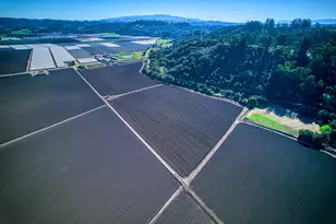 120 San Miguel Canyon Rd, Royal Oaks, CA 95076 - Photo 19