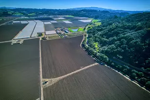 138 San Miguel Canyon Rd, Royal Oaks, CA 95076 - Photo 49