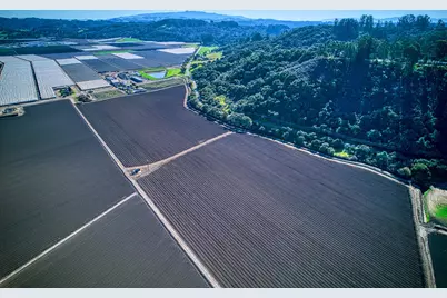 138 San Miguel Canyon Rd, Royal Oaks, CA 95076 - Photo 55