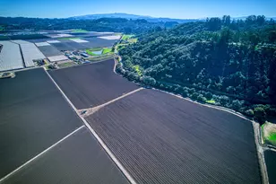 138 San Miguel Canyon Rd, Royal Oaks, CA 95076 - Photo 55