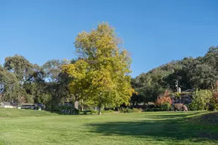 20300 Cachagua Rd, Carmel Valley, CA 93924 - Photo 19