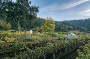 20300 Cachagua Rd, Carmel Valley, CA 93924 - Photo 27
