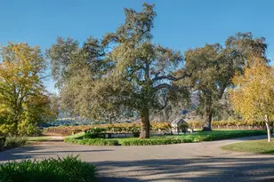 20300 Cachagua Rd, Carmel Valley, CA 93924 - Photo 15