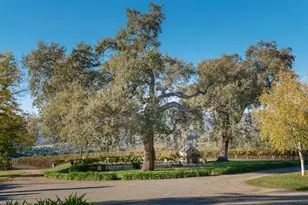 20300 Cachagua Rd, Carmel Valley, CA 93924 - Photo 13
