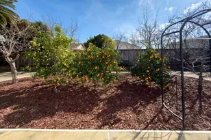 36255 Casey Ct, Newark, CA 94560 - Photo 15