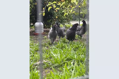 46 Valley View Rd, Watsonville, CA 95076 - Photo 49