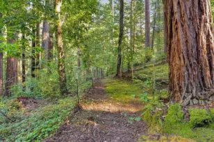 1079 Scenic Dr, Felton, CA 95018 - Photo 33