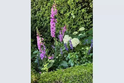 90 Melrose Pl, Redwood City, CA 94062 - Photo 91