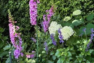 90 Melrose Pl, Redwood City, CA 94062 - Photo 91