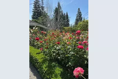 90 Melrose Pl, Redwood City, CA 94062 - Photo 103