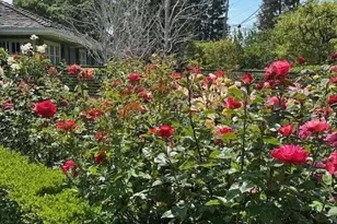 90 Melrose Pl, Redwood City, CA 94062 - Photo 103