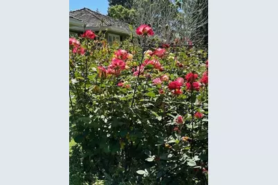 90 Melrose Pl, Redwood City, CA 94062 - Photo 105