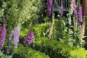 90 Melrose Pl, Redwood City, CA 94062 - Photo 95