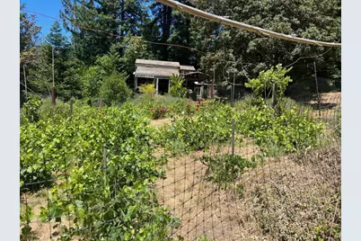 1385 Amaya Ridge Rd, Soquel, CA 95073 - Photo 33