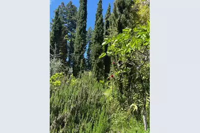 1385 Amaya Ridge Rd, Soquel, CA 95073 - Photo 13