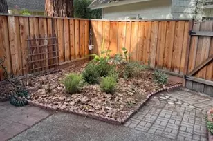 2534 W Middlefield Rd, Mountain View, CA 94043 - Photo 7