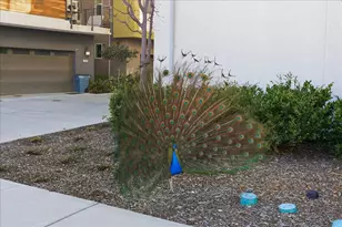 218 William Manly St 2, San Jose, CA 95136 - Photo 35