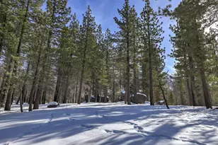 2161 Pinewood Dr, South Lake Tahoe, CA 96150 - Photo 3