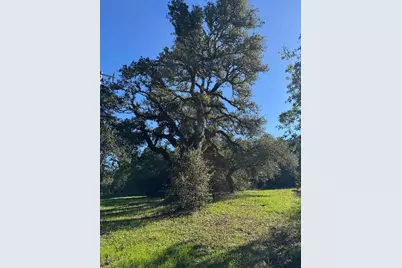 0-250 Heacox, Woodside, CA 94062 - Photo 3