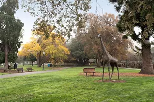 200 Elm St 107, San Mateo, CA 94401 - Photo 33