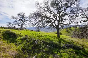 20041 Panoche Rd, Paicines, CA 95043 - Photo 1