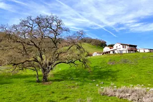 1190 Olympic Ct, Gilroy, CA 95020 - Photo 51