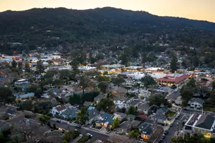 247 Edelen Ave, Los Gatos, CA 95030 - Photo 53