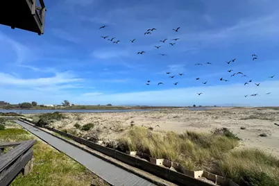 53 Pelican Pt, Watsonville, CA 95076 - Photo 23