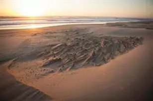 53 Pelican Point, Watsonville, CA 95076 - Photo 31