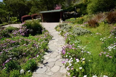 260 Rancho Soquel Rd, Soquel, CA 95073 - Photo 181