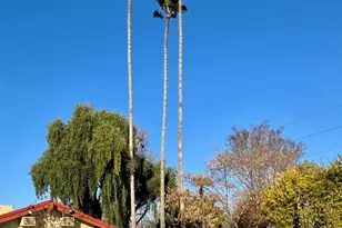 1075 Space Park Way 171, Mountain View, CA 94043 - Photo 33