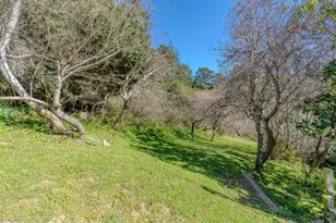 2 Valleywood Ct, Pacifica, CA 94044 - Photo 53