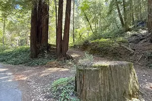 15645 Stetson Rd, Los Gatos, CA 95033 - Photo 1