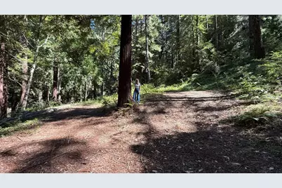 15645 Stetson Rd, Los Gatos, CA 95033 - Photo 3