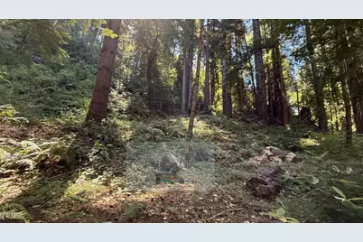 15645 Stetson Rd, Los Gatos, CA 95033 - Photo 5