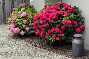 522 Spruce St, Aptos, CA 95003 - Photo 33